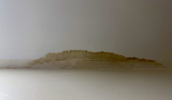 Ceiling Water Stain Caused by Leaky Roof