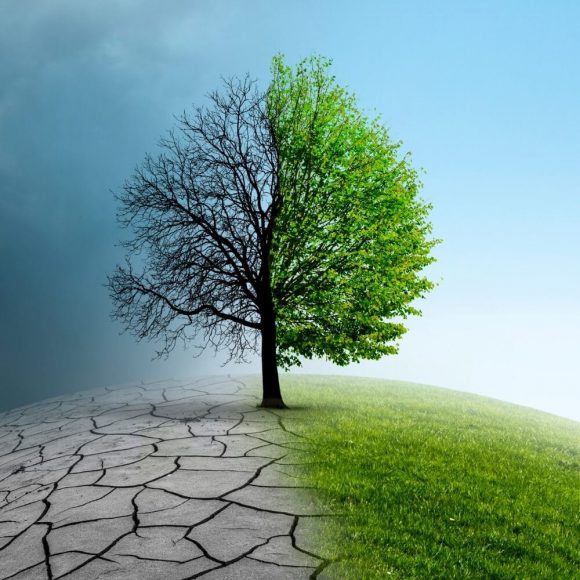 climate