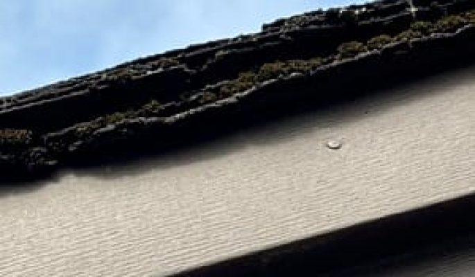 Double Layered Shingles
