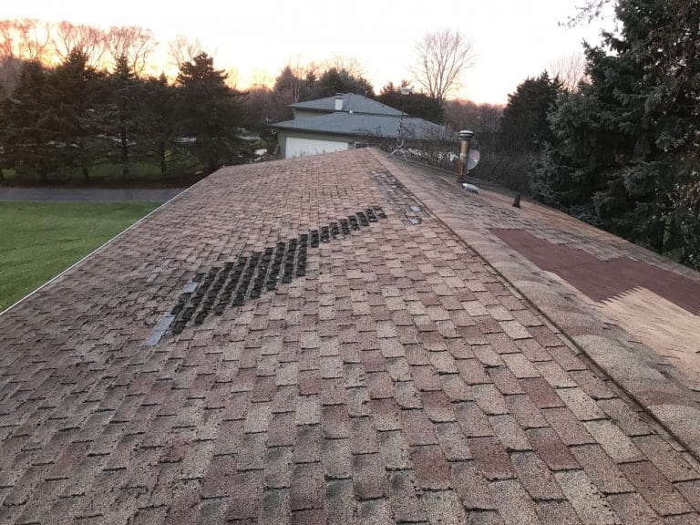 Roof Shingle Granule Loss