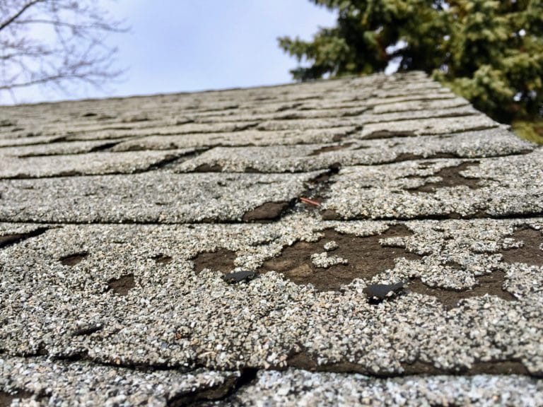 Roof Shingle Granule Loss