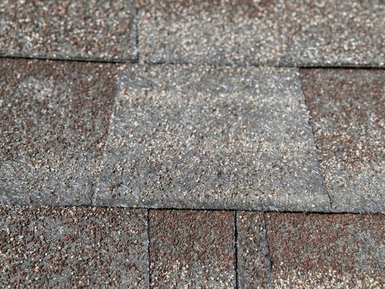 Roof Shingle Granule Loss