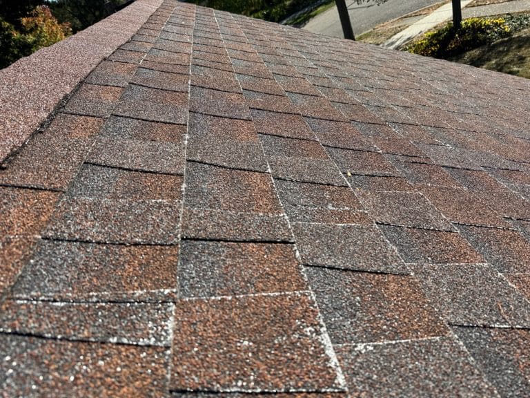 Roof Shingle Granule Loss