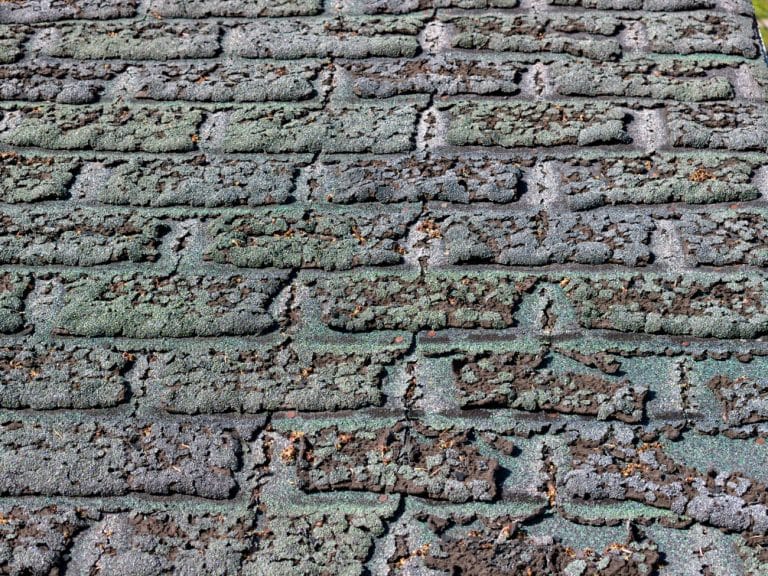Roof Shingle Granule Loss