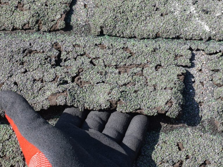 Roof Shingle Granule Loss