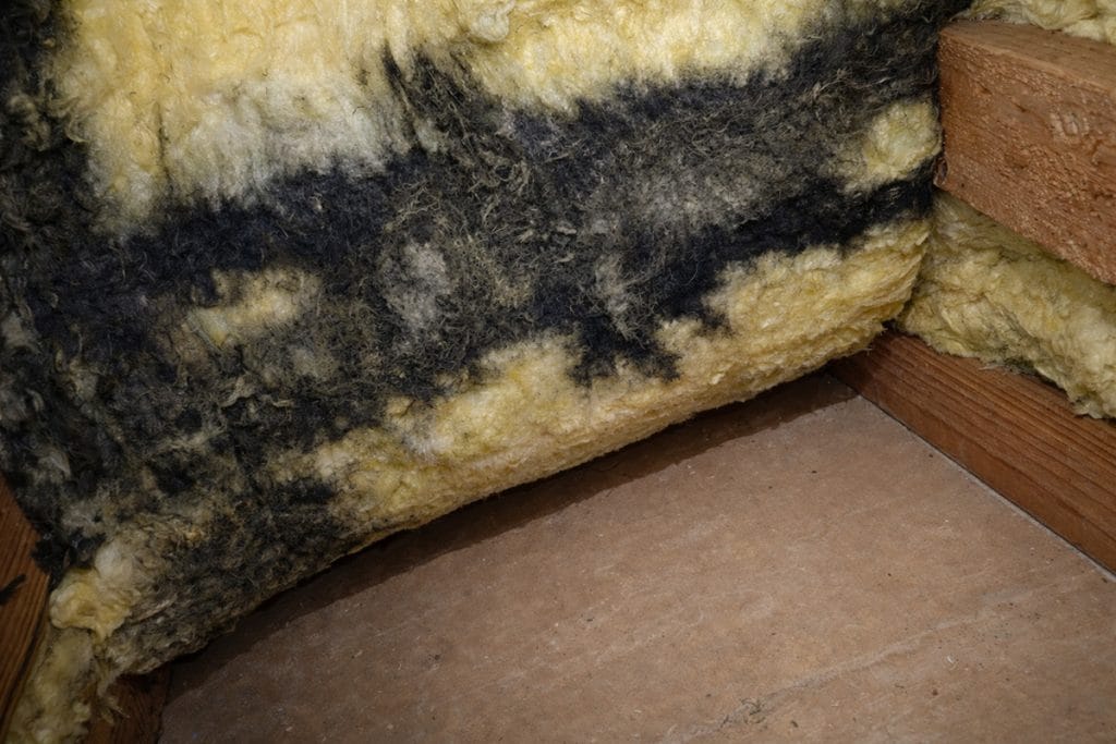 Insulation Surface Check Problem Condition