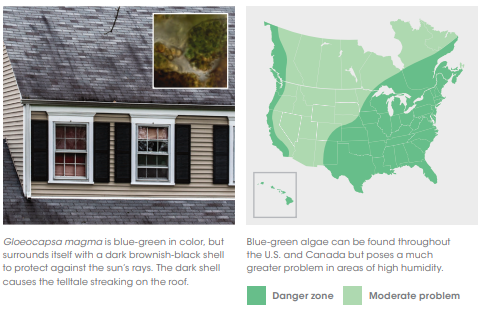 Roof Algae Geographic Danger Zones