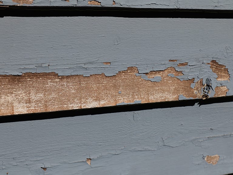 Siding Inspection