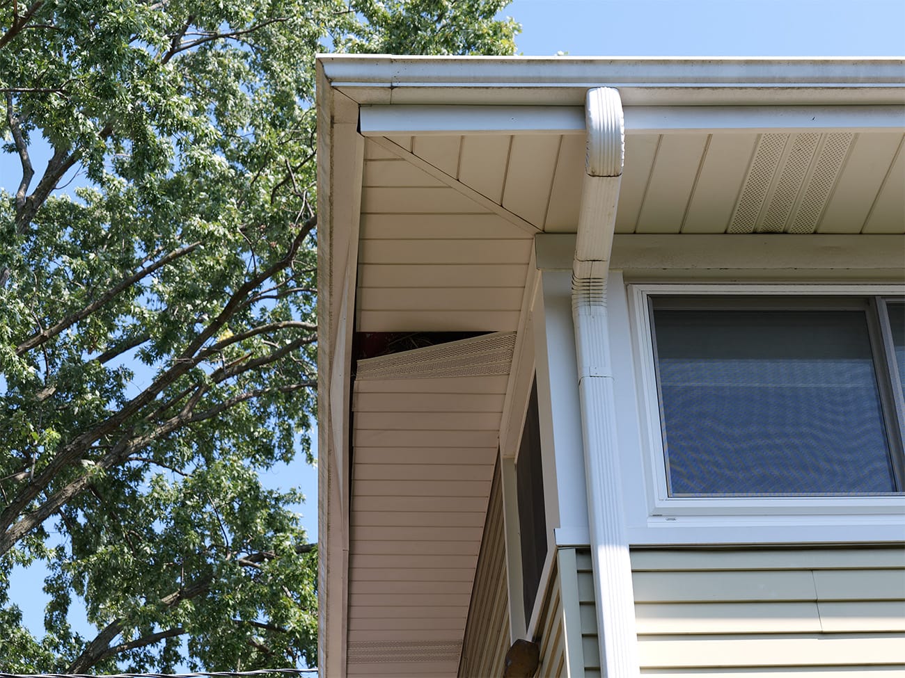 Before Soffit Repair